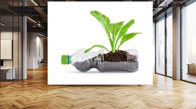 Young green plant growing in recycled plastic bottle, isolated on white background Wall mural