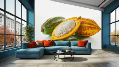 Fresh cocoa fruits with green leaf on white background Wall mural