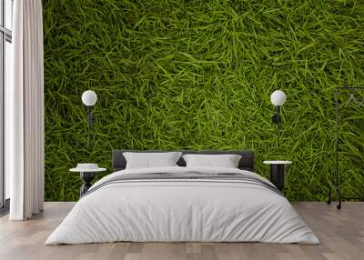 Green grass texture background Wall mural