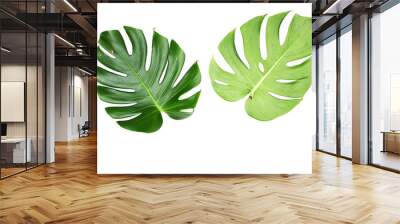 Monstera leaves On White background Wall mural