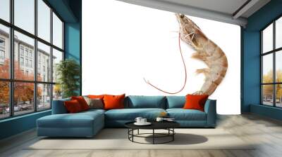 One raw shrimp Wall mural