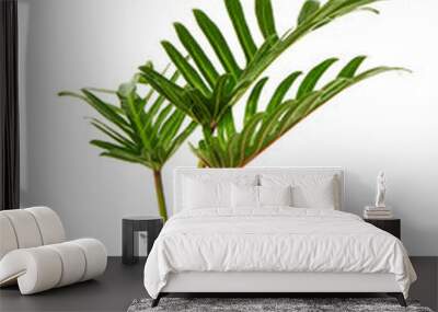 Tropical leaf Monstera plant  in glass vase Wall mural