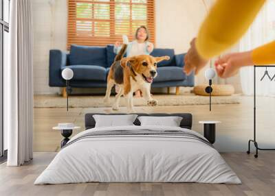 A Beagle puppy, dog running on the floor inside a home during the day. Wall mural