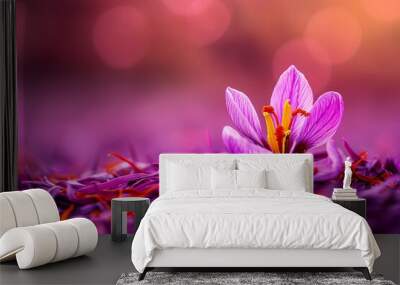 Close-up of a vibrant purple saffron flower blooming amidst saffron threads with a soft, dreamy background. Wall mural