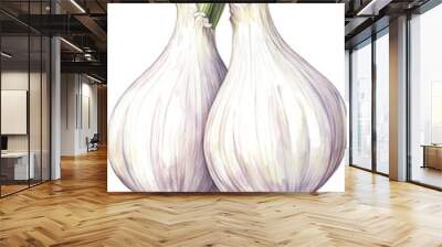 Illustration of two fresh garlic bulbs with green stalks, detailed botanical art ideal for culinary and educational purposes. Wall mural