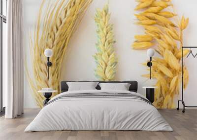 Two spikelets of wheat and one ear of oats on a white Wall mural