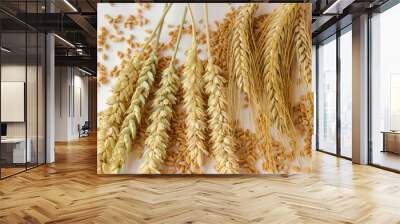 Wheat grains and different varieties of wheat on a white backgro Wall mural