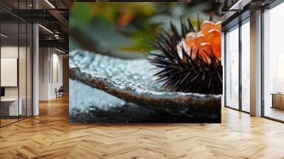 Sea urchin sashimi in its spiny shell Wall mural