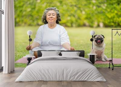 Calm of Healthy Asian Elderly woman with white hairs doing yoga lotus pose for meditation with dog pug breed on green grass at park,Wellness Senior Recreation with yoga concept Wall mural