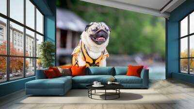 Happy dog pug breed wearing life jacket and standing on kayak feeling so happiness and fun vacations on the beach,Dog vacations Concept Wall mural