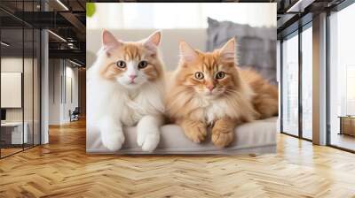 two cute cats on a light sofa. Generative AI Wall mural