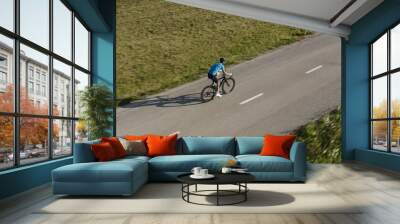 Side view of a male professional racing bike rider cycling on a paved road on a summer sunny day, aerial drone shot. Wall mural