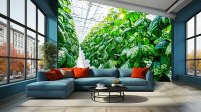 Green crop in modern greenhouse Wall mural