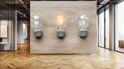 three glass bulbs for lamps - idea concept Wall mural