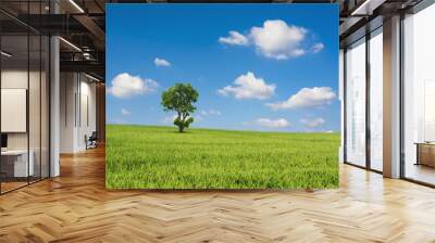 Green field and tree with blue sky cloud Wall mural