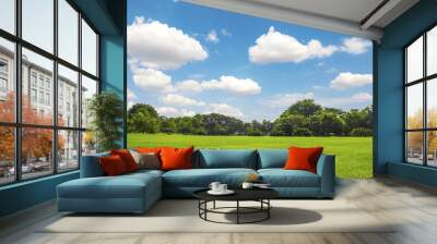 Green park outdoor with blue sky cloud Wall mural