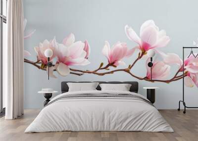 a branch of a magnolia tree with pink flowers on a gray background . High quality Wall mural