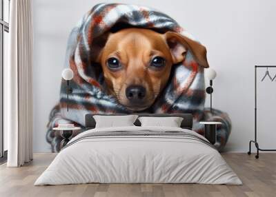 A canine adorably bundled up in a cozy scarf resembling a burrito Wall mural