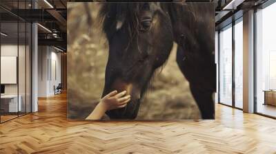 A horse in a photograph with a girl s hand beside it Wall mural