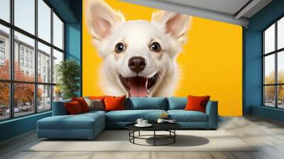 A lovely puppy dog is photographed alone against a yellow backdrop showcasing its fluffy medium coat The dog is in a studio setting with a front facing camera angle and the close up shot foc Wall mural