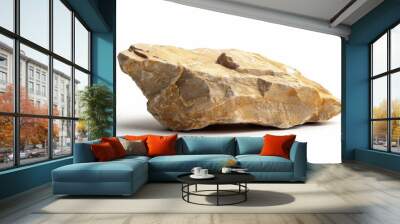 A single tan colored rock set against a white background Wall mural