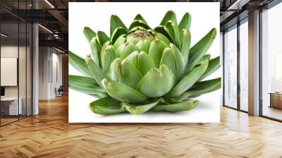 Artichoke vegetables picked from a garden against a white backdrop Wall mural