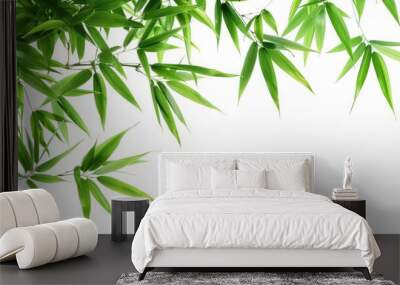 Bamboo leaves on a white background with isolation Wall mural