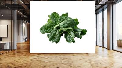 Bunch of organic collard greens on a transparent background promoting raw green nutrition Wall mural