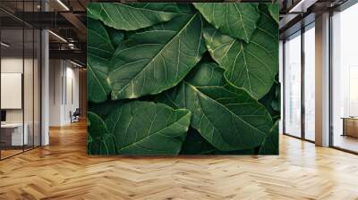 close-up of vibrant green foliage on a wooden surface Wall mural