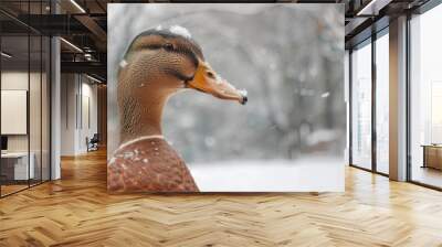 Duck s head during the winter Wall mural