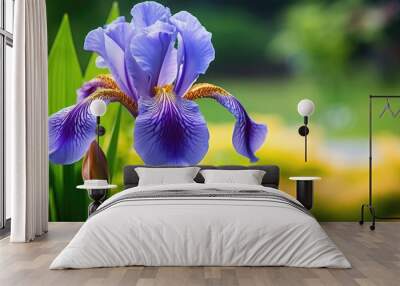 During the summertime an iris plant blooms outdoors Wall mural