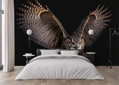 Eagle owl, Bubo bubo, and a gigantic owl flying directly towards the camera with fully extended wings are isolated on a black background. brilliant orange eyes of the owl. Nighttime raptor in backligh Wall mural