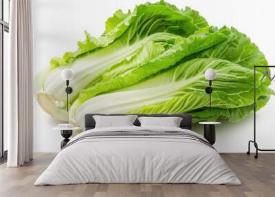 Fresh Chinese cabbage on a white background Wall mural