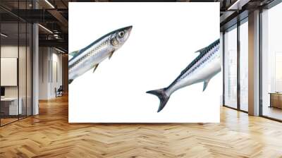 Fresh mackerel isolated in transparent background Wall mural