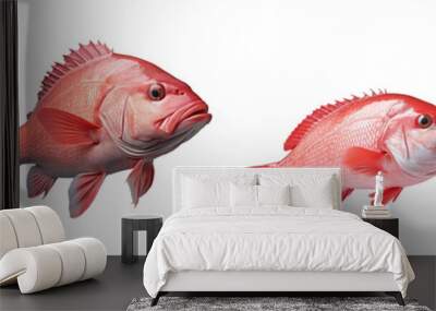 Fresh red grouper fish on a transparent background Wall mural