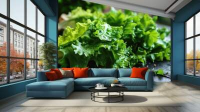 Green lettuce chopped and placed on a black table. Wall mural