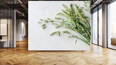 Green oat ears bouquet on white board top view vintage rustic background Wall mural