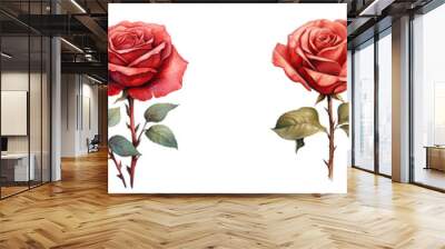 Illustration of a red rose in watercolor on a transparent background isolated Wall mural