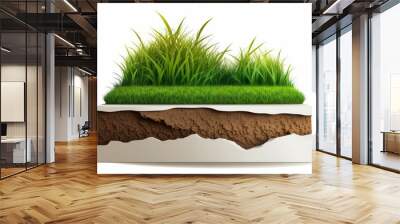 Isolated side view of green grass and soil in a flat, two dimensional design. Generative AI Wall mural