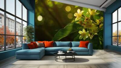 Mango blossoms shine in sunlight against dark tree backdrop Wall mural