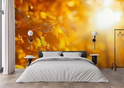 Out-of-focus autumn forest background with blurred yellow tree leaves and sun rays. Wall mural