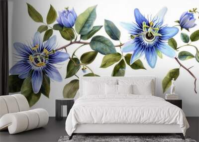 Passiflora caerulea plant with blue flowers Wall mural