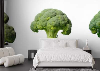 Png Set Broccoli on a transparent background Wall mural