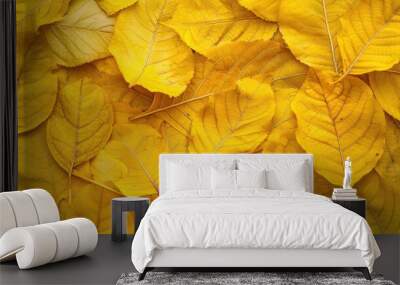 Seamless pattern created from vibrant yellow leaf texture Wall mural