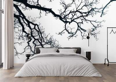 Silhouetted tree branches against a white background Wall mural