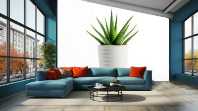 Small aloe vera plant in round pot isolated on white background. Wall mural