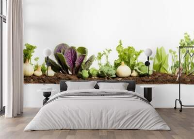 Spring vegetable patch Wall mural