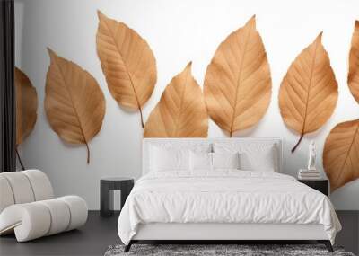 The isolated presentation of dry brown leaves on a white background showcases its textured shape Wall mural