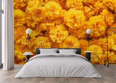 Yellow carnations as a vibrant photo backdrop Wall mural