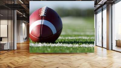 Football on the Field Wall mural